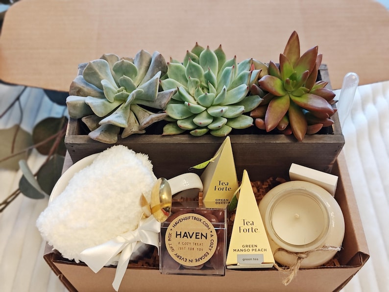 K&ouml;nnte beinhalten: Eine Holzkiste gef&uuml;llt mit verschiedenen Geschenken, darunter eine wei&szlig;e Tasse mit goldener Verzierung, ein wei&szlig;es Handtuch, eine kleine Schachtel Pralinen, eine Kerze und zwei Teebeutel. Die Kiste enth&auml;lt auch eine kleine Topfpflanze mit Sukkulenten.