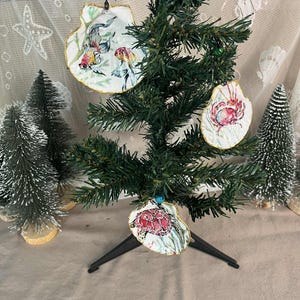 Könnte beinhalten: Ein kleiner künstlicher Weihnachtsbaum, der mit drei Muschelschmuckstücken geschmückt ist. Die Ornamente zeigen gemalte Bilder von Fischen, einer Krabbe und einer Schildkröte. Die Muscheln haben einen goldenen Rand und hängen am Baum.