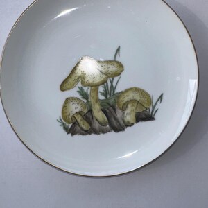 May include: Round white ceramic plate with a gold rim. The plate features a hand-painted design of three mushrooms in tan and brown, with green grass. The plate has a glossy finish.