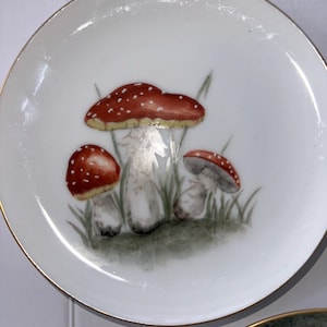 Vintage Amanita Muscaria Mushroom Plate Hand Painted Ellen Rasmussen Oregon