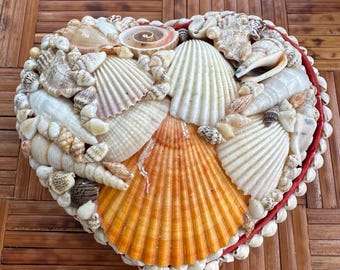 Caja vintage con forma de corazón de concha marina, decoración costera, caja de baratijas de concha para casa de playa