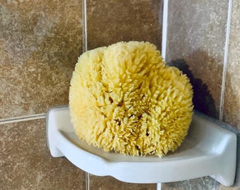 Natural Sea Grass Sponge 5-6"