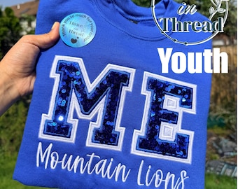 Custom Youth School Spirit Embroidered Sweatshirt/Pullover, Youth Sports Team hoodie, mascot/team name, Sequins embroidery, spirit wear