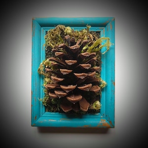 May include: A framed natural art piece featuring a large brown pine cone set against a bed of green moss. The pine cone is centered within a distressed, turquoise-painted wooden frame, creating a rustic aesthetic.