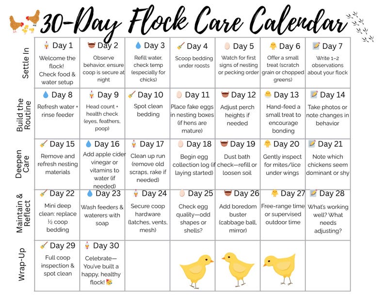Backyard Chicken Starter Kit Printable Bundle | Chicken Coop Checklist ...