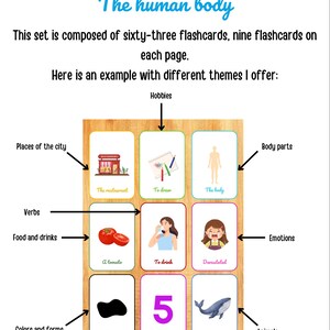 Human body flashcards - English