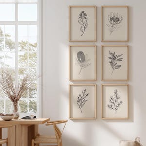 Australian Native Botanical Line Art Set  Digital Download Printable Wall Art Minimalist Nature Wall Decor  Monochrome Plant Illustrations