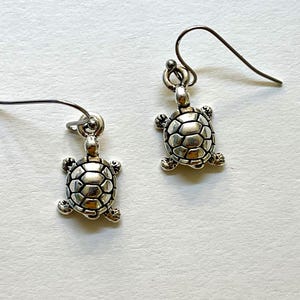 May include: A pair of silver turtle earrings with a simple hook design.