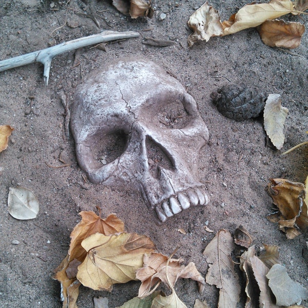 Realistic buried skull garden stones