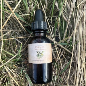 Esencia floral de sauce lobo