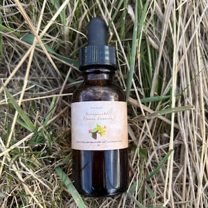 Twining Honeysuckle Flower essence