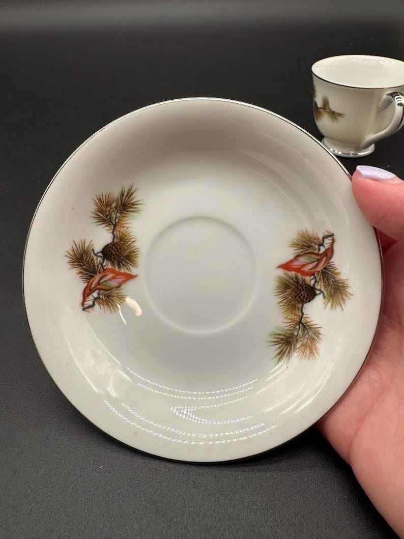 Vintage Seiko China Cardinal Teacup & Saucer: Winter Pine, Silver Rim ...