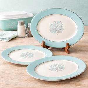 Puede incluir: Un juego de tres platos ovalados con borde azul claro y diseño floral. Los platos están sobre una superficie de madera. En el fondo, una fuente para servir y saleros y pimenteros a juego.