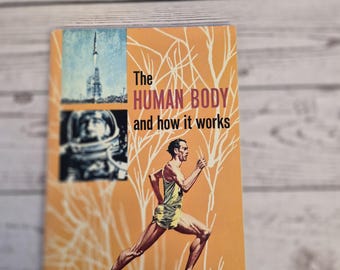 Vintage 1960s Human Body Book – Science Service Program, Mid-Century Education