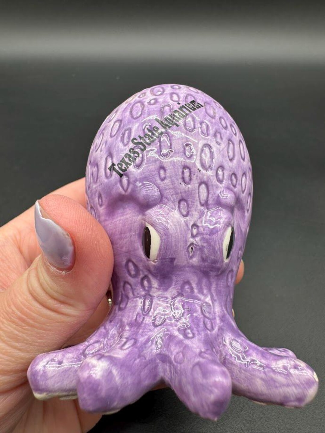 Whimsical Purple Octopus Ceramic Shaker – Texas State Aquarium