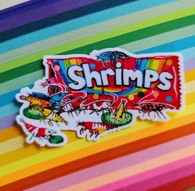 May include: A colorful sticker featuring the word "Shrimps" in white, with a rainbow-colored background. The sticker showcases various shrimp illustrations in red, yellow, and black, with green accents. The sticker is placed on a background of rainbow-colored paper.