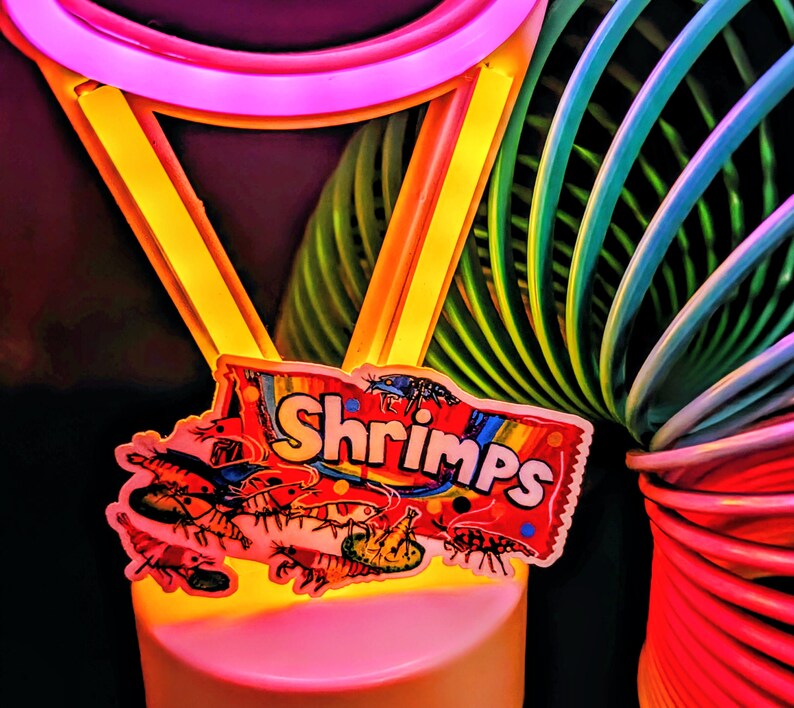 May include: A colorful toy with a rainbow slinky and a neon pink and yellow frame. A sticker with the word "Shrimps" and illustrations of shrimp is attached to the toy.