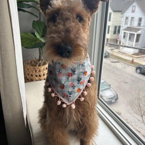 Pet-bandana