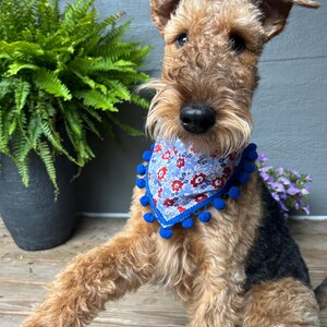 Pet Bandana