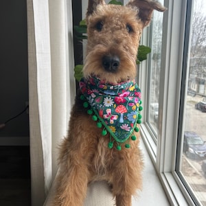 Pet Bandana