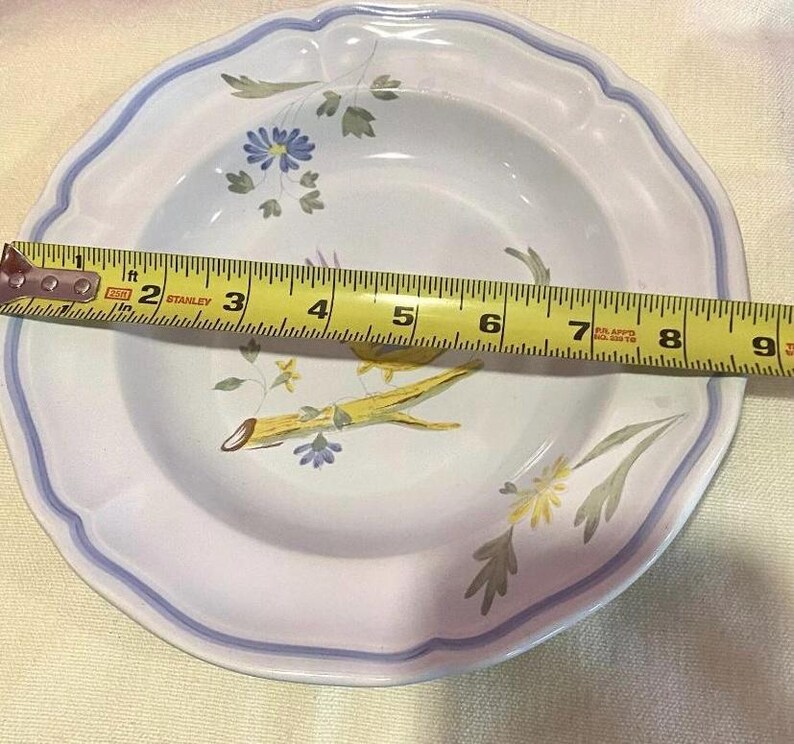 Pu&ograve; includere: Una ciotola per zuppa in ceramica bianca con un design floreale blu e viola. La ciotola misura 20 cm di diametro.
