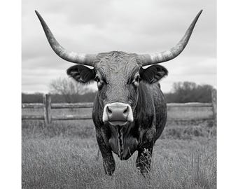 Black and White Longhorn Bull Print, Rustic Farmhouse Decor