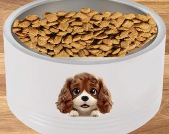 Personalized Spaniel Pet Bowl: Stainless Steel Custom Dog Dish