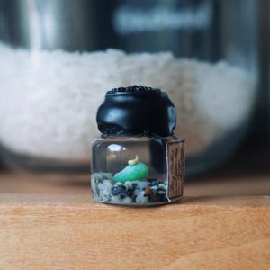 May include: A small, clear glass bottle with a black cap, containing a miniature green pickle and small pebbles. The bottle has a label on the side and sits on a wooden surface. The background is blurred, with a jar of white substance.