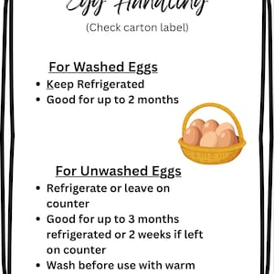 Egg stand & egg carton bundle
