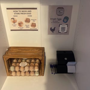 Egg Washing and Storing Infographic | Unwashed Eggs | Fresh Eggs | Egg Washing Instructions | Digital Download | Digital Print