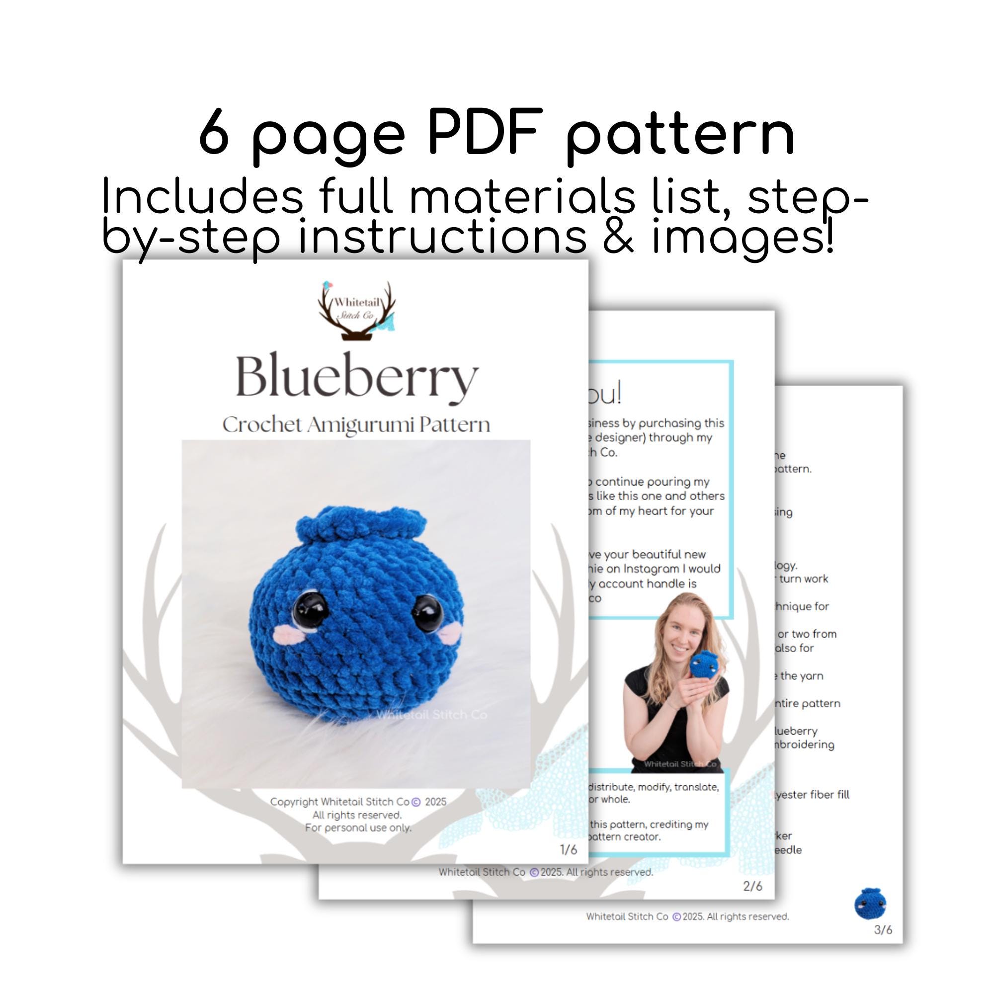 Blueberry Crochet Amigurumi Fruit Pattern No Sew Summer Berry - Etsy