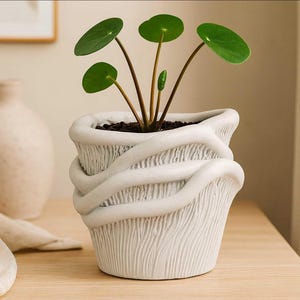 May include: A small green plant with round leaves in a white, textured ceramic pot. The pot has a unique design with a swirling, rope-like pattern around the exterior. The plant is placed on a wooden surface.