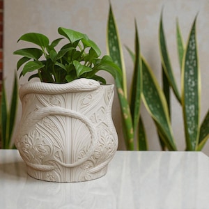 Snake Plant Pot