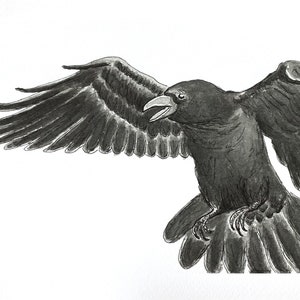Raven - Giclee Fine Art Print