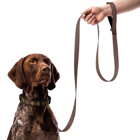 Adjustable Dog Collar for Small Medium Large Dogs | Soft Padded Pet Collar | Stylish Dog Accessory | Gift for Pet Lovers | FREE Shipping