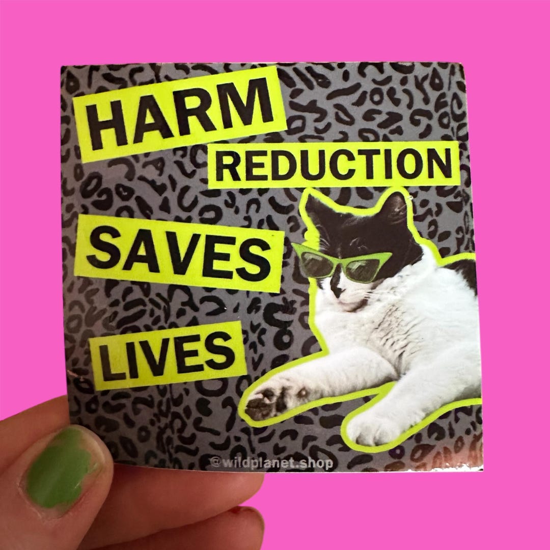 Sticker “harm Reduction Saves Lives” Cat Wearing Sunglasses 3” X 3 ...