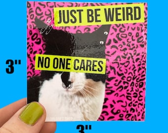 Sticker 3” x 3” Punk Rock Cat “Just Be Weird No one Cares” Water Bottle Laptop Sticker