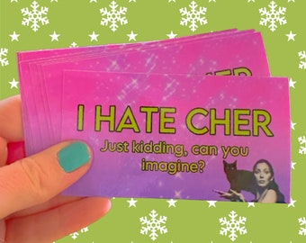 I Hate Cher sticker Just Kidding No one Hates Cher! Funny sticker