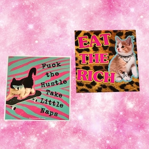 May include: Two stickers with a cat theme. The first sticker features a black cat wearing sunglasses and skateboarding on a teal and pink striped background. The text on the sticker reads "Fuck the Hustle Take Little Naps". The second sticker features a brown tabby cat wearing a studded collar and a skull and crossbones tattoo. The text on the sticker reads "Eat the Rich" on a leopard print background.