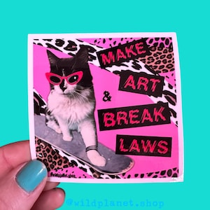 May include: A black and white cat wearing pink sunglasses is skateboarding. The cat is on a pink and black leopard print background. The text "MAKE ART & BREAK LAWS" is written in pink and black letters.
