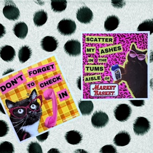 Square Sticker 3” x 3” cats Funny Tums IBS Check In Punk Retro Plaid Leopard Print