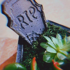 Concrete Coffin Planter Kit image 9