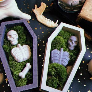 Concrete Coffin Planter Kit image 5