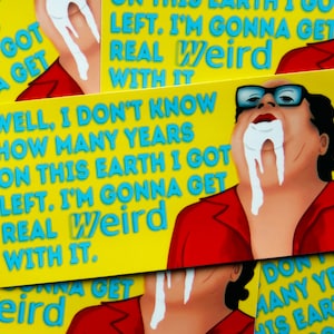 Immer sonnig Autoaufkleber / Vinyl Aufkleber / Es ist immer sonnig in Philadelphia / Frank Reynolds / Danny Devito / Real Weird with It
