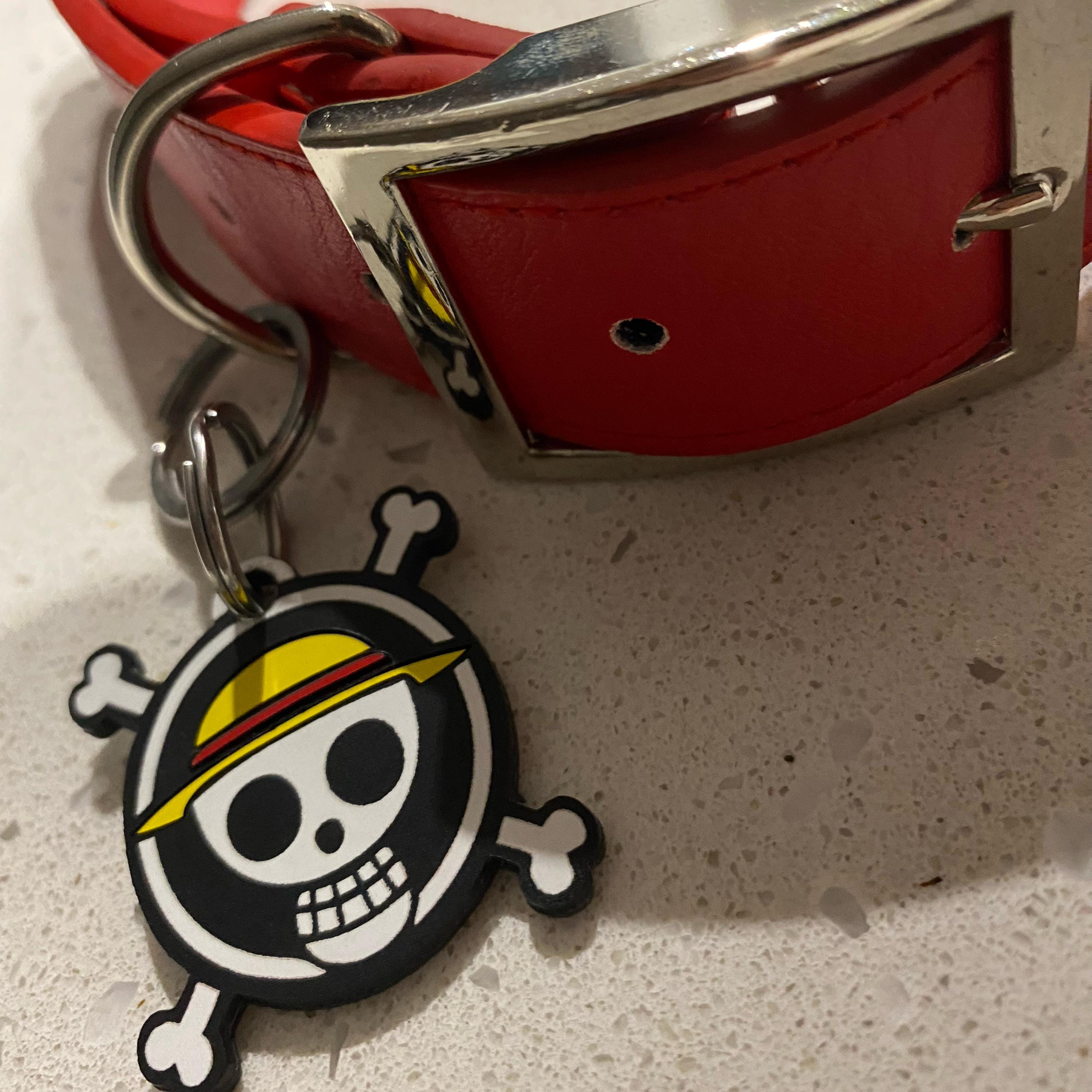 One Piece Dog Collar - Etsy