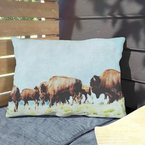 Rustic Buffalo Outdoor Pillows, Decorative Lumbar Pillows for Patio, Lodge, Cabin or RV Decor, Outdoor Cushions, Nature-Themed Pillows