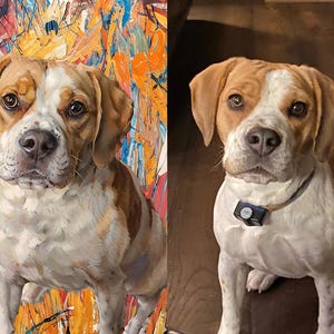 May include: A dog with brown and white fur, wearing a collar with a black device. The dog is sitting and looking directly at the camera. The background is a colourful abstract painting.