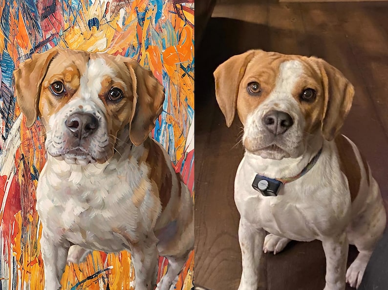 May include: A dog with brown and white fur, wearing a collar with a black device. The dog is sitting and looking directly at the camera. The background is a colourful abstract painting.
