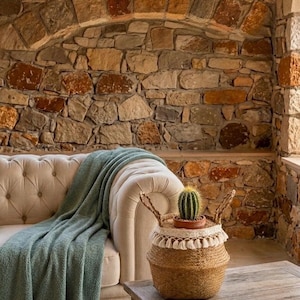 Peut inclure: Un panier tressé avec des poignées, contenant un petit cactus dans un pot en terre cuite, est posé sur une table en bois. Un canapé crème capitonné avec une couverture vert sauge est en arrière-plan. Le fond est un mur en pierre.