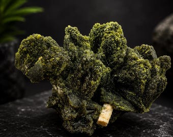Natural Green Epidote Crystal Cluster Specimen – 189.7 Grams | Rare Botryoidal Epidote Mineral Display Piece from Pakistan